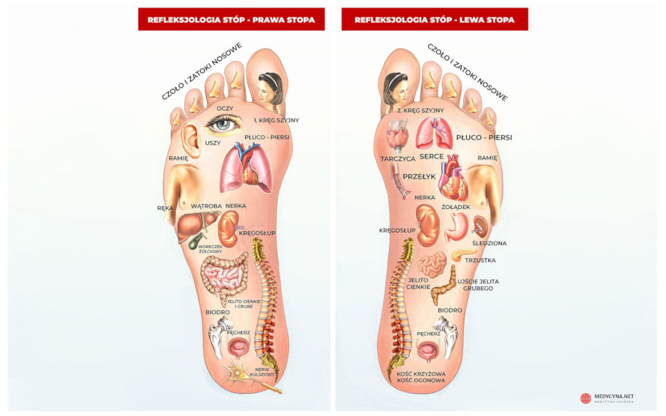 Medycyna chińska - strefy refleksyjne stóp
